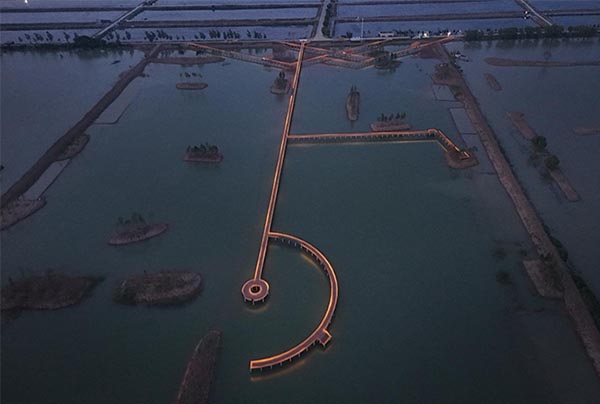 【2024-08-12】西順河片區(qū)生態(tài)恢復(fù)項(xiàng)目